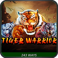 Tiger Warrior