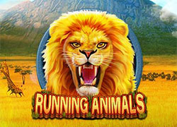 Running Animals