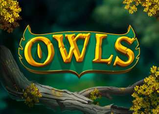 Owls