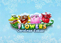 Flowers Christmas